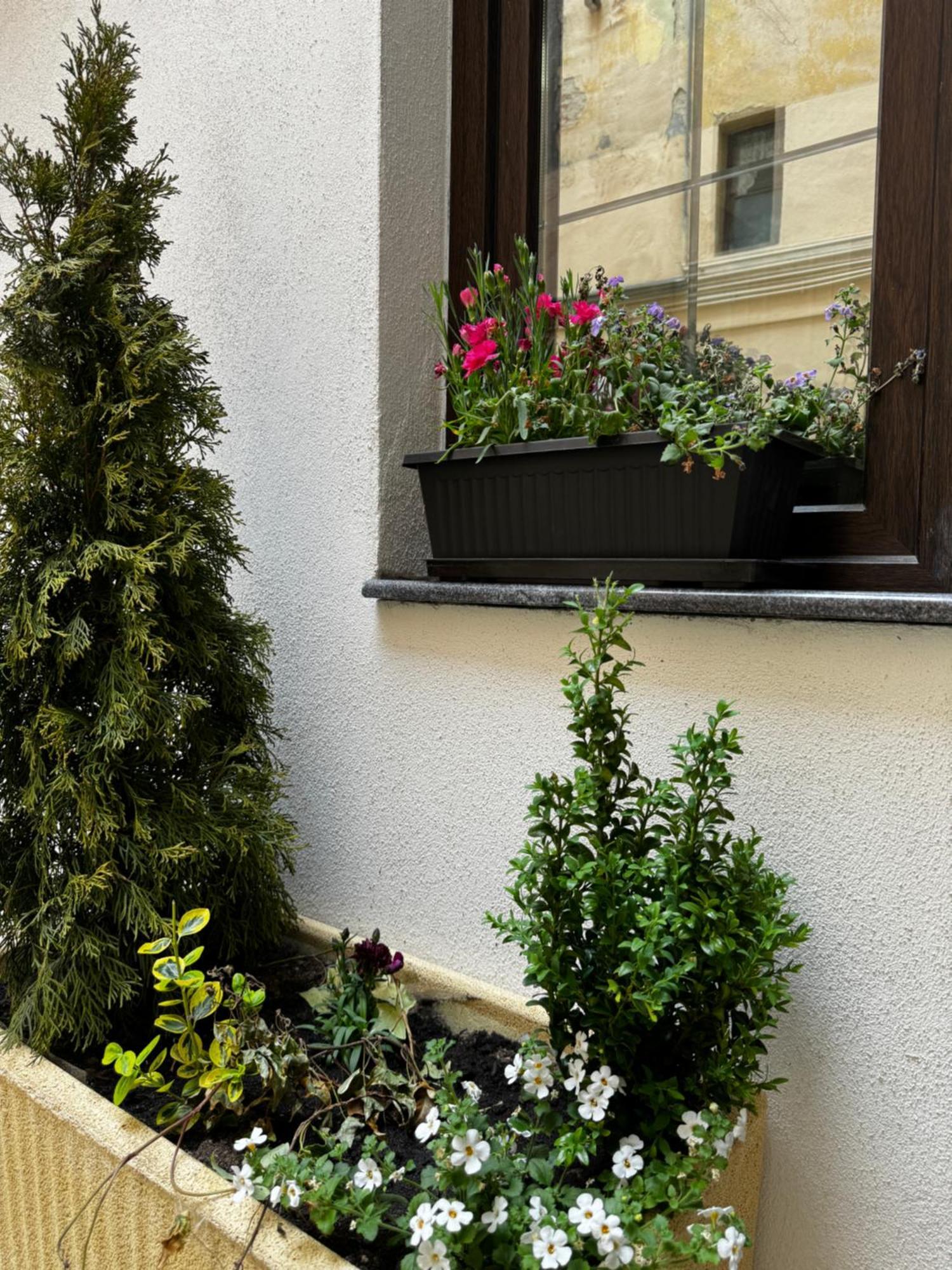 Balcescu Central Residence Sibiu Chambre photo
